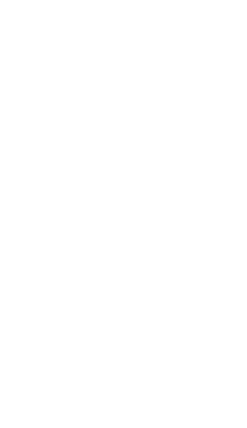 Rocha - Talho e Mercado