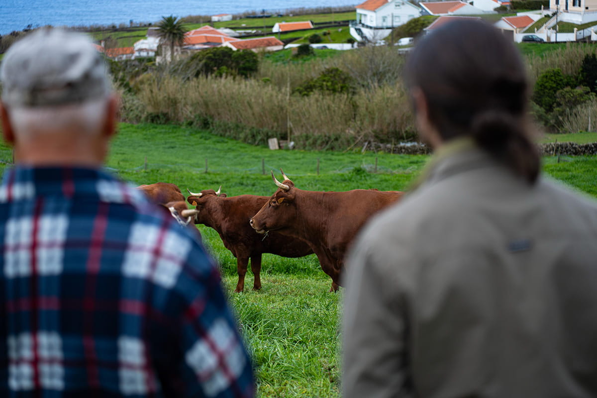 Nova geração do Rocha em contacto com produtor local